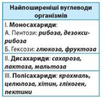 https://history.vn.ua/pidruchniki/sobol-biology-and-ecology-10-class-2018-standard-level/sobol-biology-and-ecology-10-class-2018-standard-level.files/image134.jpg